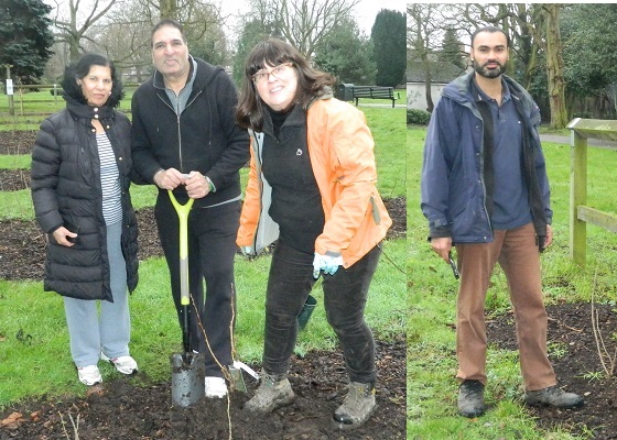Southall Orchard project 23 Jan 2016